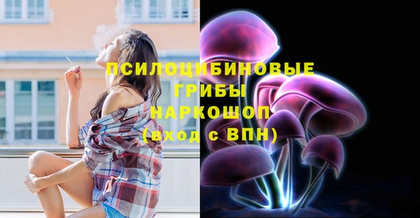 mdpv Богданович