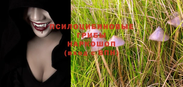 mdpv Богданович