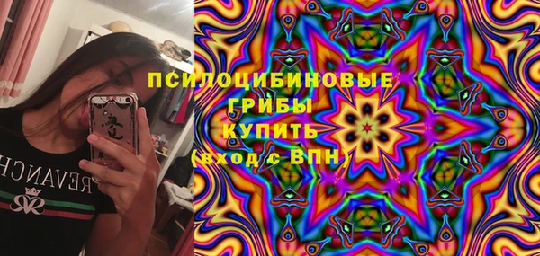 COCAINE Богородицк