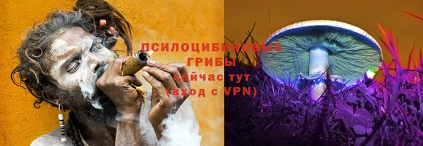 mdpv Богданович