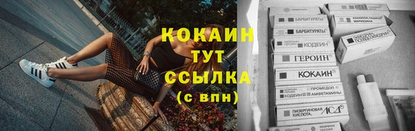 mdpv Богданович