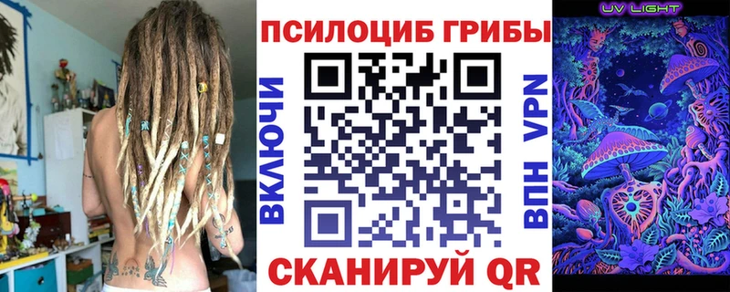 Купить где  Петухово  Псилоцибиновые грибы Magic Shrooms 